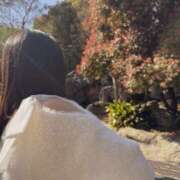 ヒメ日記 2025/04/18 08:29 投稿 平野めいな ウルトラハピネス