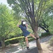 ヒメ日記 2025/09/04 12:29 投稿 平野めいな ウルトラハピネス