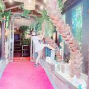 ヒメ日記 2026/02/09 18:35 投稿 平野めいな ウルトラハピネス