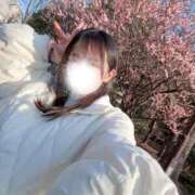 ヒメ日記 2026/02/18 23:29 投稿 平野めいな ウルトラハピネス