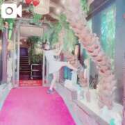 ヒメ日記 2026/02/23 19:39 投稿 平野めいな ウルトラハピネス