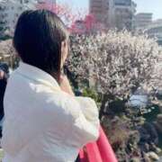 ヒメ日記 2026/02/25 09:59 投稿 平野めいな ウルトラハピネス