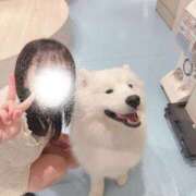 ヒメ日記 2026/03/15 18:31 投稿 平野めいな ウルトラハピネス