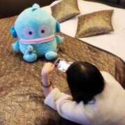 ヒメ日記 2026/03/17 11:49 投稿 平野めいな ウルトラハピネス