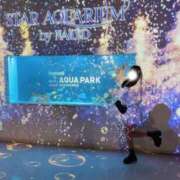 ヒメ日記 2026/03/25 09:39 投稿 平野めいな ウルトラハピネス