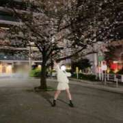 ヒメ日記 2026/03/29 14:29 投稿 平野めいな ウルトラハピネス