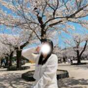 ヒメ日記 2026/04/05 13:29 投稿 平野めいな ウルトラハピネス