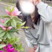 ヒメ日記 2026/04/09 17:18 投稿 平野めいな ウルトラハピネス