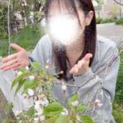 ヒメ日記 2026/04/11 08:29 投稿 平野めいな ウルトラハピネス