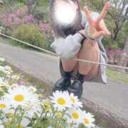 ヒメ日記 2026/04/13 17:49 投稿 平野めいな ウルトラハピネス