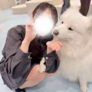 ヒメ日記 2026/05/06 16:29 投稿 平野めいな ウルトラハピネス