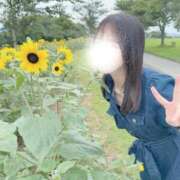 ヒメ日記 2026/07/06 19:48 投稿 平野めいな ウルトラハピネス