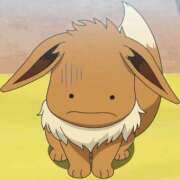 ヒメ日記 2024/12/20 11:01 投稿 にの アラカルト