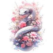 ヒメ日記 2025/01/01 11:00 投稿 にの アラカルト