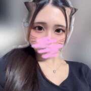 ヒメ日記 2026/03/29 14:45 投稿 にの アラカルト