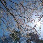 ヒメ日記 2026/03/16 10:44 投稿 のぞみ 濃厚即19妻