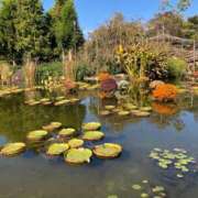 ヒメ日記 2024/12/09 16:30 投稿 わかな 奥様の実話 梅田店