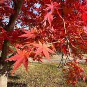 ヒメ日記 2024/12/10 13:20 投稿 わかな 奥様の実話 梅田店