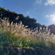 ヒメ日記 2024/12/18 12:29 投稿 わかな 奥様の実話 梅田店