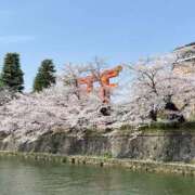 ヒメ日記 2025/04/08 17:34 投稿 わかな 奥様の実話 梅田店