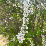 ヒメ日記 2025/04/18 18:41 投稿 わかな 奥様の実話 梅田店