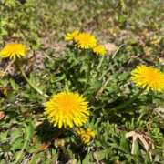 ヒメ日記 2025/04/30 20:33 投稿 わかな 奥様の実話 梅田店