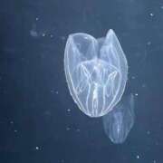 ヒメ日記 2025/05/17 14:35 投稿 わかな 奥様の実話 梅田店