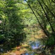 ヒメ日記 2025/07/19 01:12 投稿 わかな 奥様の実話 梅田店