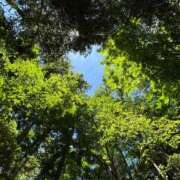 ヒメ日記 2025/07/19 22:32 投稿 わかな 奥様の実話 梅田店