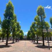 ヒメ日記 2025/07/23 20:03 投稿 わかな 奥様の実話 梅田店