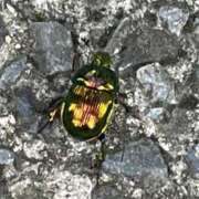 ヒメ日記 2025/08/04 19:16 投稿 わかな 奥様の実話 梅田店