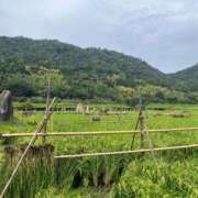 ヒメ日記 2025/09/18 13:12 投稿 わかな 奥様の実話 梅田店