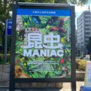 ヒメ日記 2025/09/18 19:13 投稿 わかな 奥様の実話 梅田店