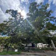 ヒメ日記 2025/09/26 12:09 投稿 わかな 奥様の実話 梅田店