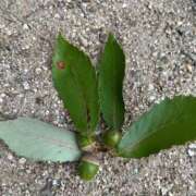 ヒメ日記 2025/10/02 12:27 投稿 わかな 奥様の実話 梅田店