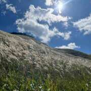 ヒメ日記 2025/10/31 21:32 投稿 わかな 奥様の実話 梅田店