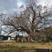 わかな 12月 奥様の実話 梅田店