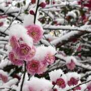 ヒメ日記 2026/02/08 10:26 投稿 わかな 奥様の実話 梅田店