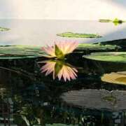 ヒメ日記 2026/02/14 09:05 投稿 わかな 奥様の実話 梅田店