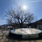 ヒメ日記 2026/03/05 19:45 投稿 わかな 奥様の実話 梅田店