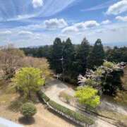 わかな 桜🌸ラストは 奥様の実話 梅田店