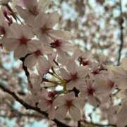 ヒメ日記 2025/09/30 11:01 投稿 さくらこ 乱入痴女倶楽部