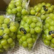 ヒメ日記 2025/09/30 20:41 投稿 さくらこ 乱入痴女倶楽部