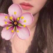 ヒメ日記 2026/01/08 03:51 投稿 さくらこ 乱入痴女倶楽部