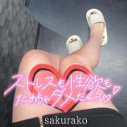 ヒメ日記 2026/01/29 06:51 投稿 さくらこ 乱入痴女倶楽部