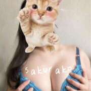 ヒメ日記 2026/02/14 03:01 投稿 さくらこ 乱入痴女倶楽部