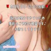 ヒメ日記 2026/03/07 03:01 投稿 さくらこ 乱入痴女倶楽部