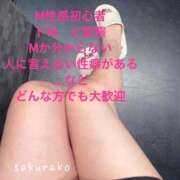 ヒメ日記 2026/03/29 03:41 投稿 さくらこ 乱入痴女倶楽部