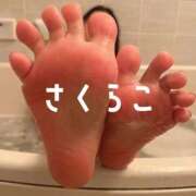ヒメ日記 2026/04/04 05:21 投稿 さくらこ 乱入痴女倶楽部