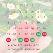 ヒメ日記 2026/04/24 08:21 投稿 さくらこ 乱入痴女倶楽部